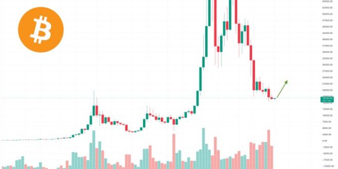 Bitcoin Price By 2025