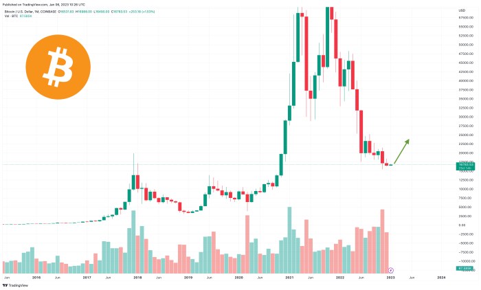 Bitcoin Price By 2025