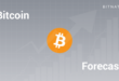 Bitcoin 2025 Value