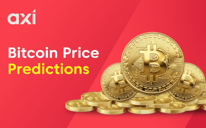 Bitcoin Price Prediction 2025 In Inr Calculator