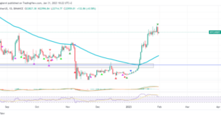 Bitcoin Price Prediction For 31 January 2025