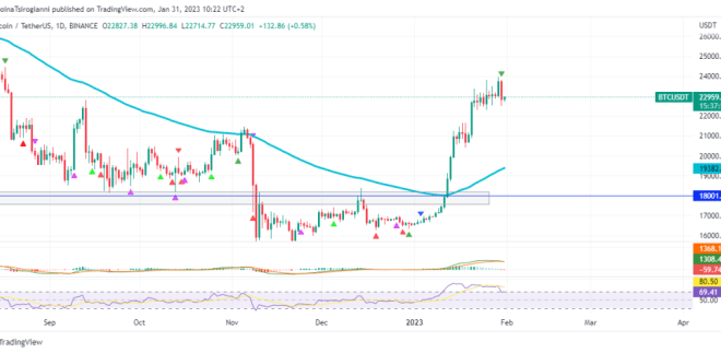 Bitcoin Price Prediction For 31 January 2025