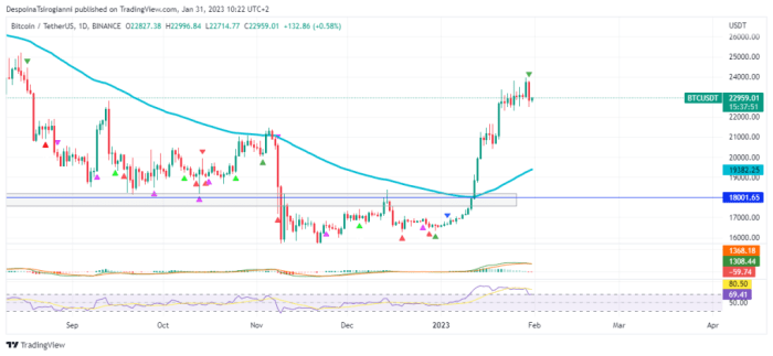 Bitcoin Price Prediction For 31 January 2025