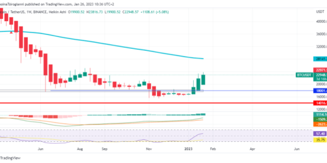 Bitcoin analysis june price