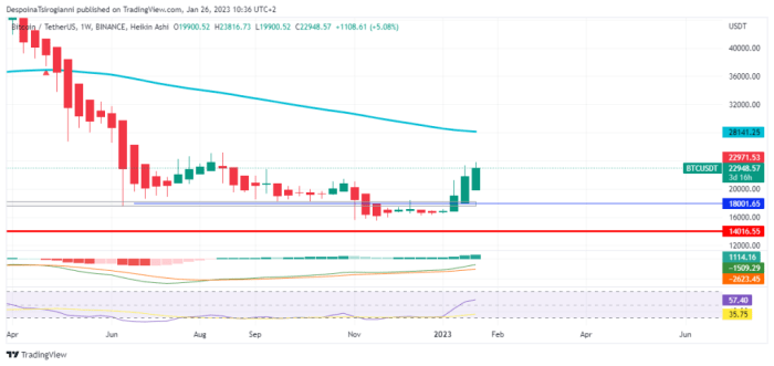 Bitcoin analysis june price