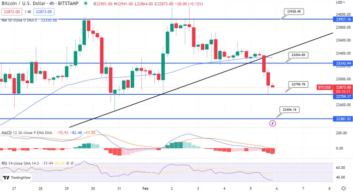 Bitcoin Price Prediction Plan B