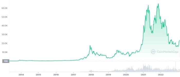 Bitcoin Target 2025