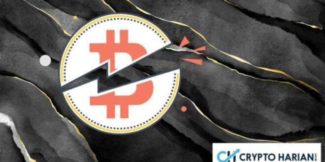 Bitcoin halving btc sapere swissquote crypto