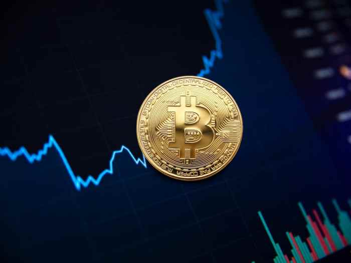 Bitcoin Price Prediction For 31 January 2025