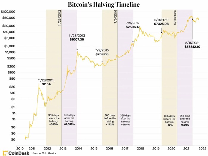 Bitcoin Price Halving 2025