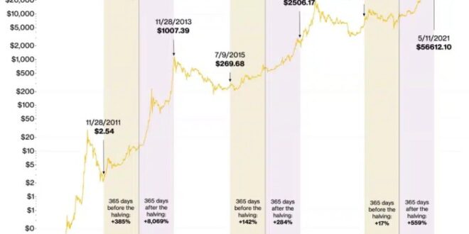 Bitcoin Halving 2025 Dates