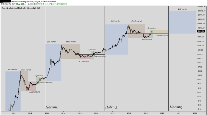 Bitcoin price chart prediction forecast 2022 2024 2023 2025