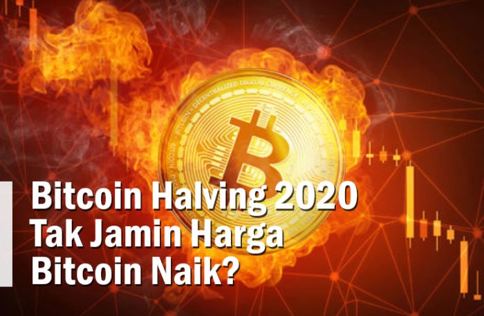 Bitcoin halving kenaikan tahun menakar setelah coinmonks igor impacts pertama sebelum