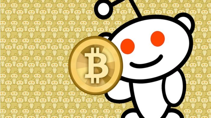 Bitcoin 2025 Prediction Reddit