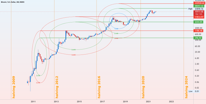 2025 Bitcoin Halving Chart